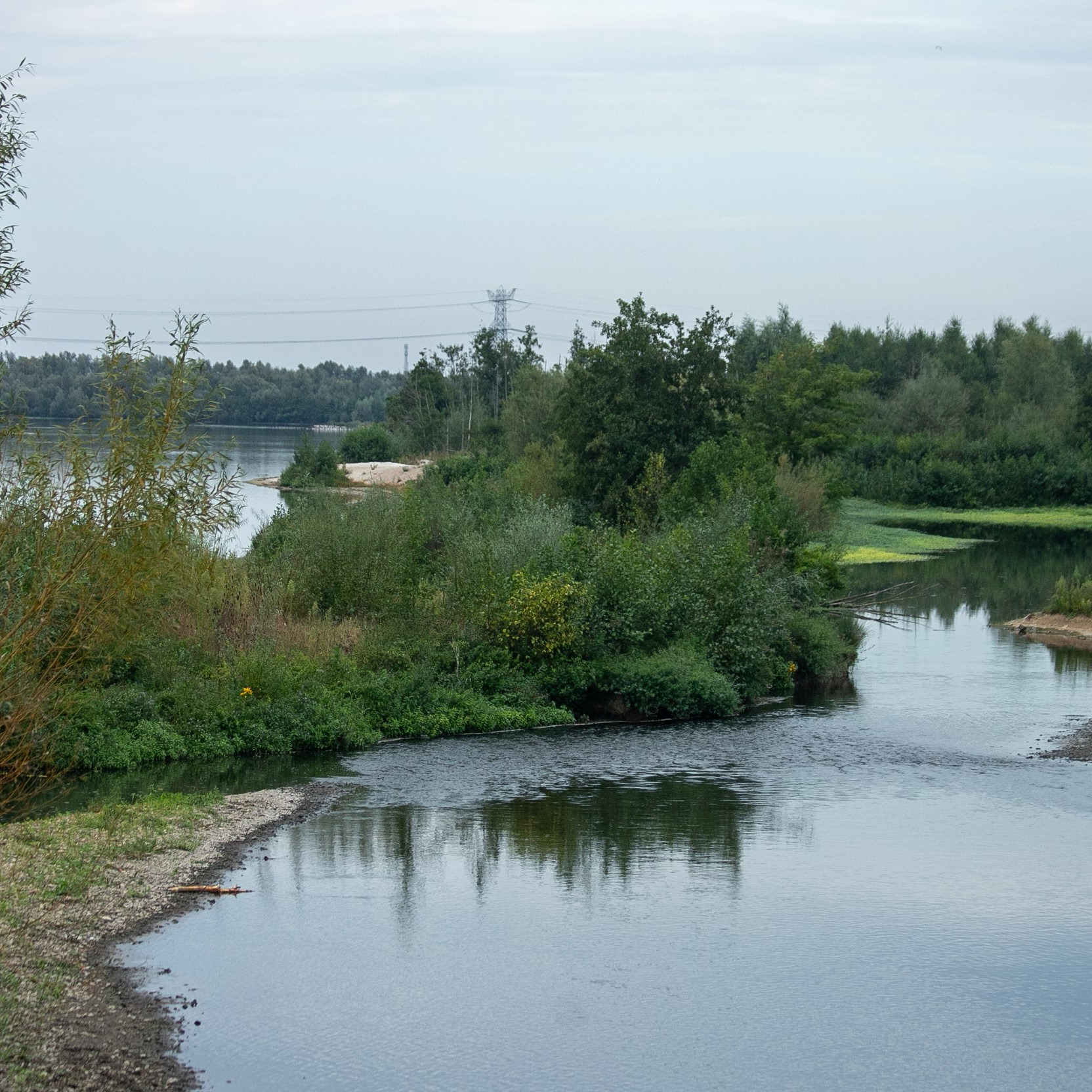 Waar de Geleenbeek via de Oude Maas haar water afgeeft in de Molenplas