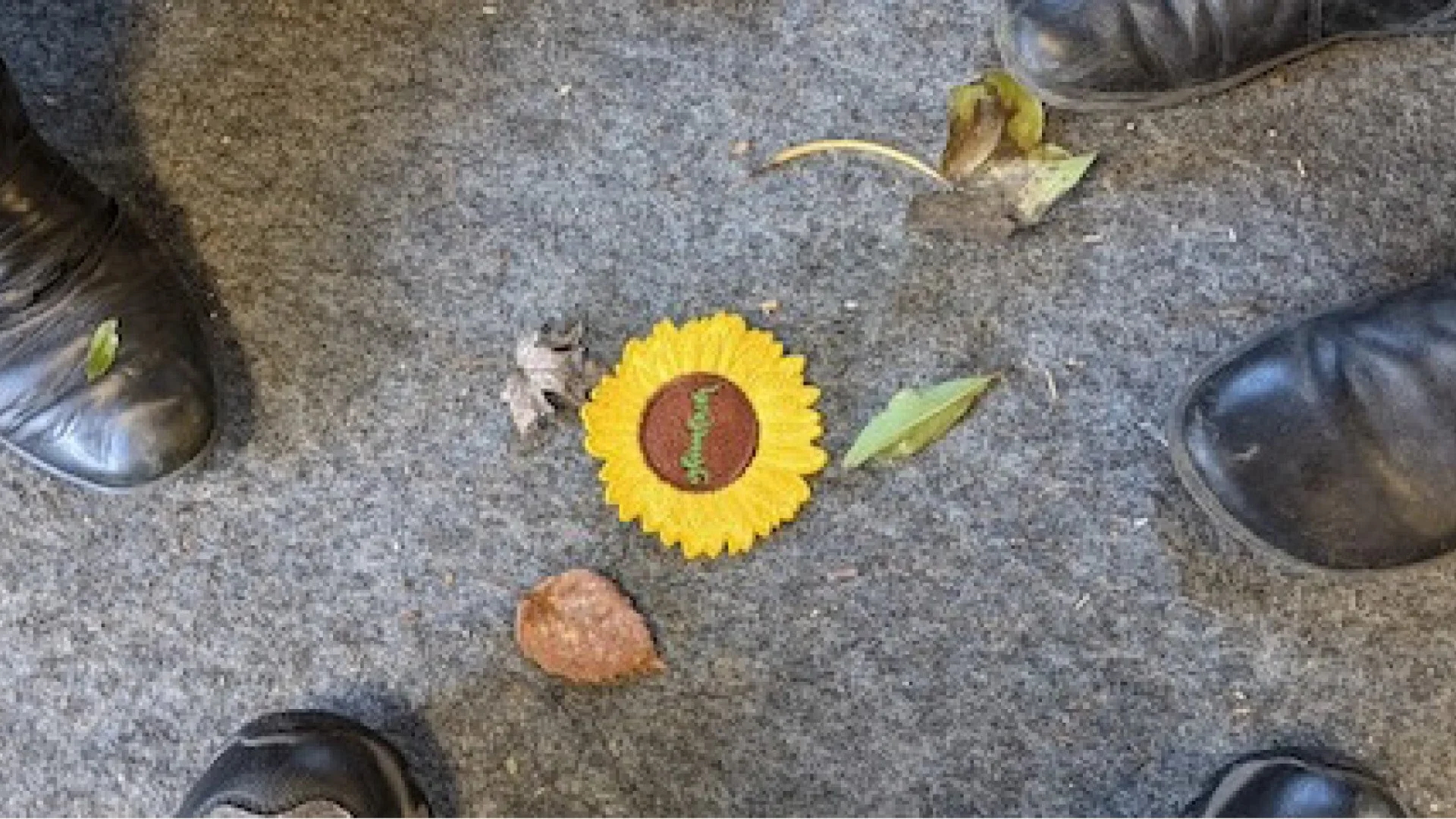 Samen verbindingen in de natuur verkennen... (ecologie)