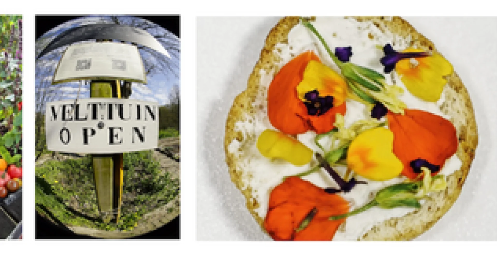 Op zaterdag 8 augustus 2026 van 11.00 tot 15.00 uur Open Dag in de Ecologische Samen-tuin van Velt Leudal  bij het Bezoekerscentrum Leudal