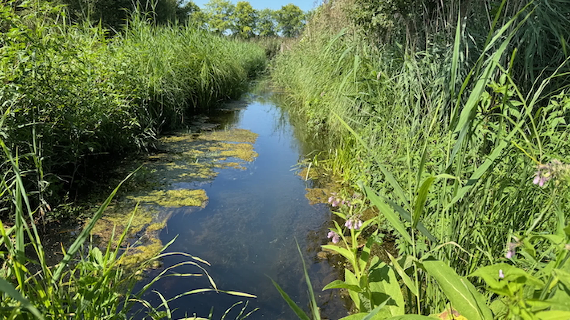 Kalm transformeren - wandeling