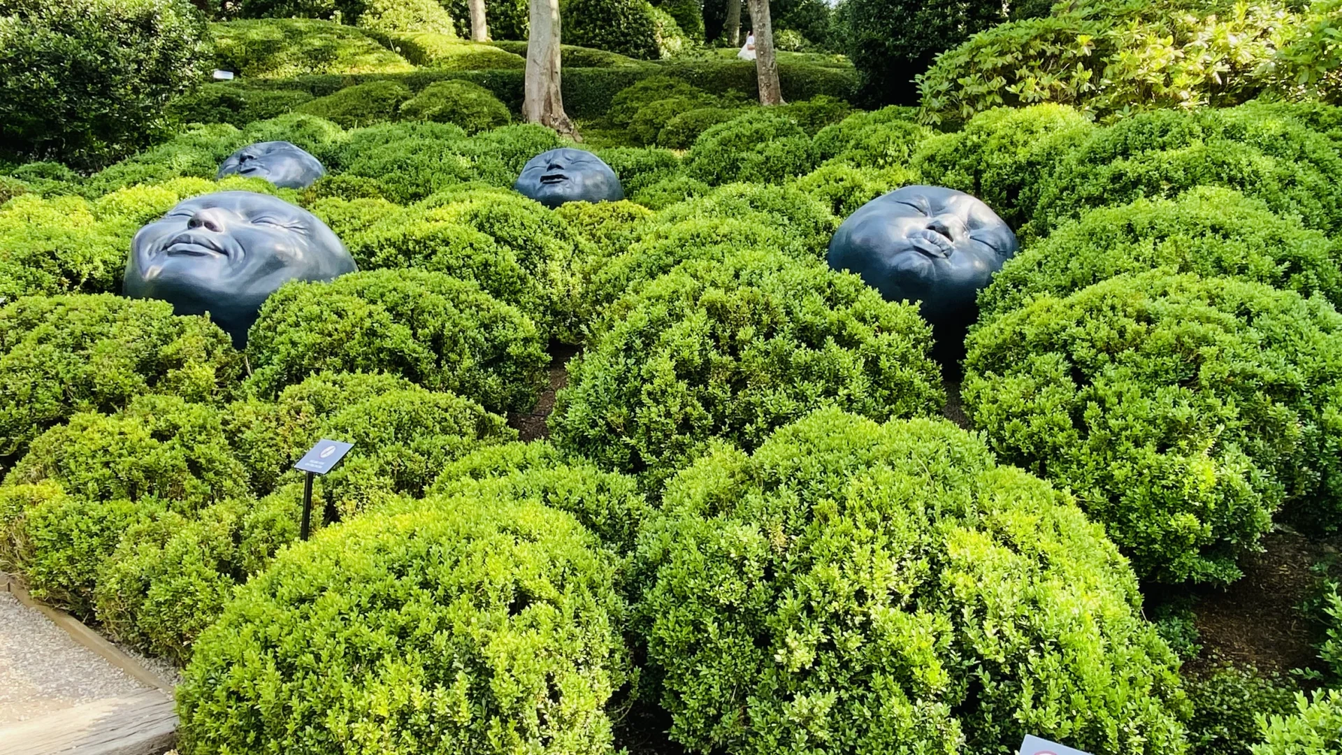 Terugblik tuinreis 2026 naar Normandië en vooruitblik naar de tuinreis van 2027