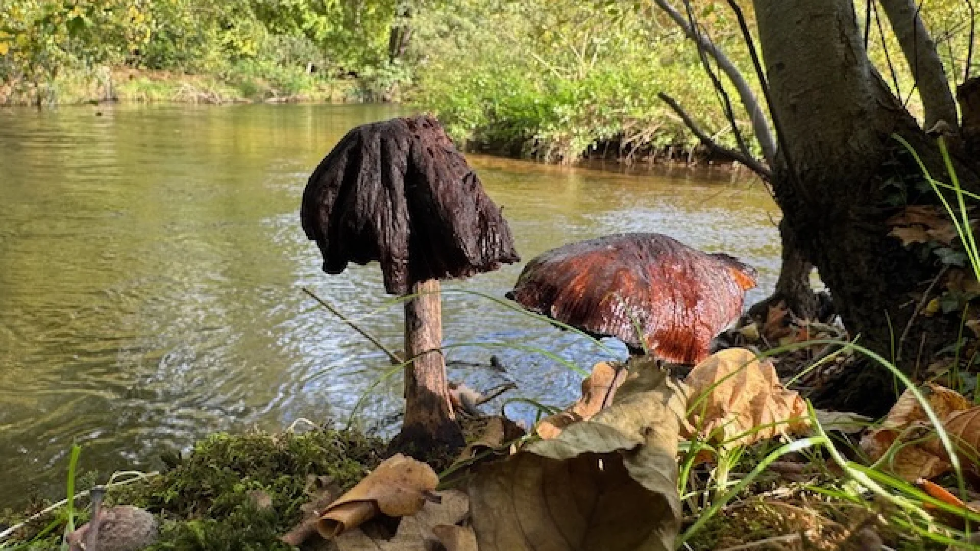 Vastberaden rusten - wandeling